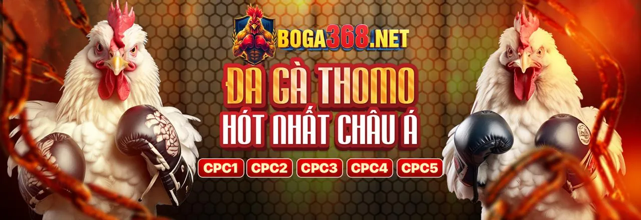 W188VN Về Chúng Tôi