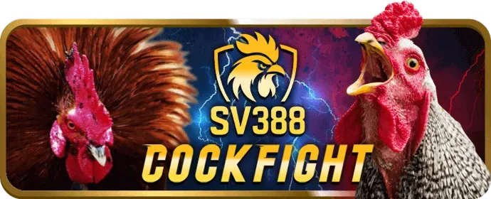 Bảo mật cao W188VN